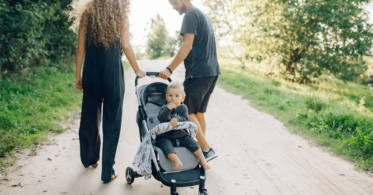 Stroller for baby