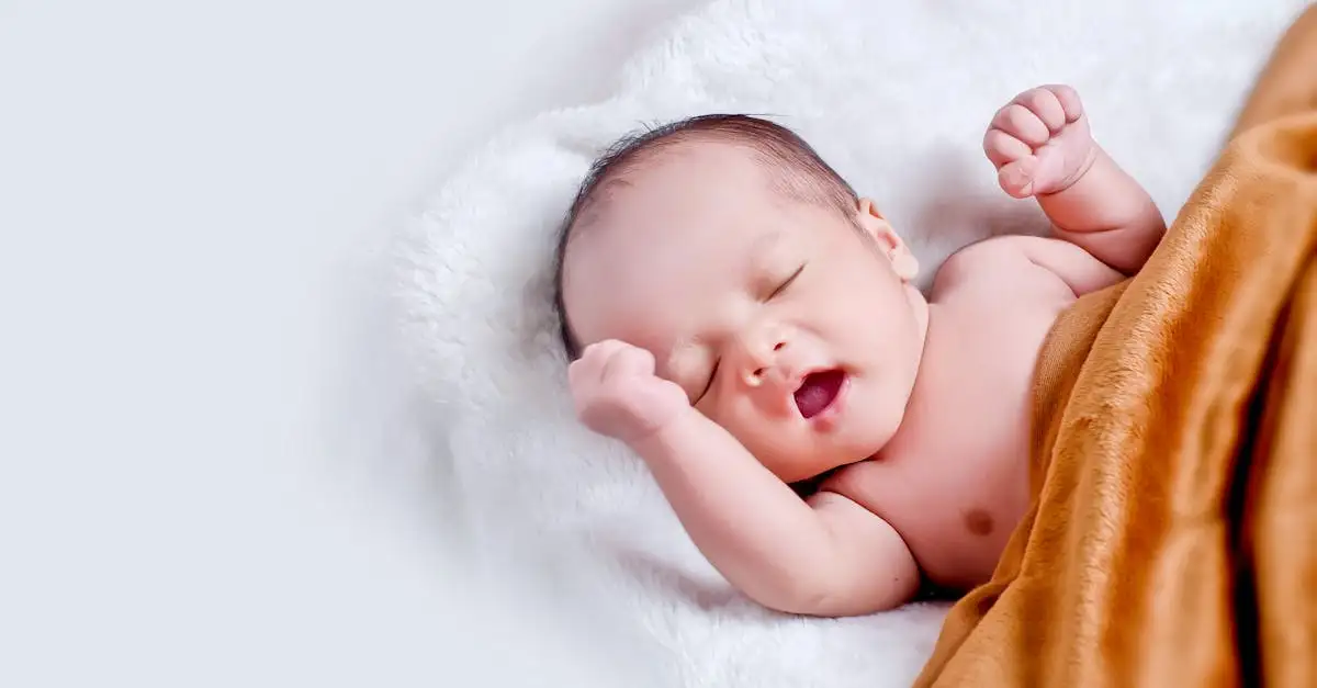 Baby speelgoed woezel en pip